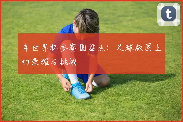 年世界杯参赛国盘点：足球版图上的荣耀与挑战